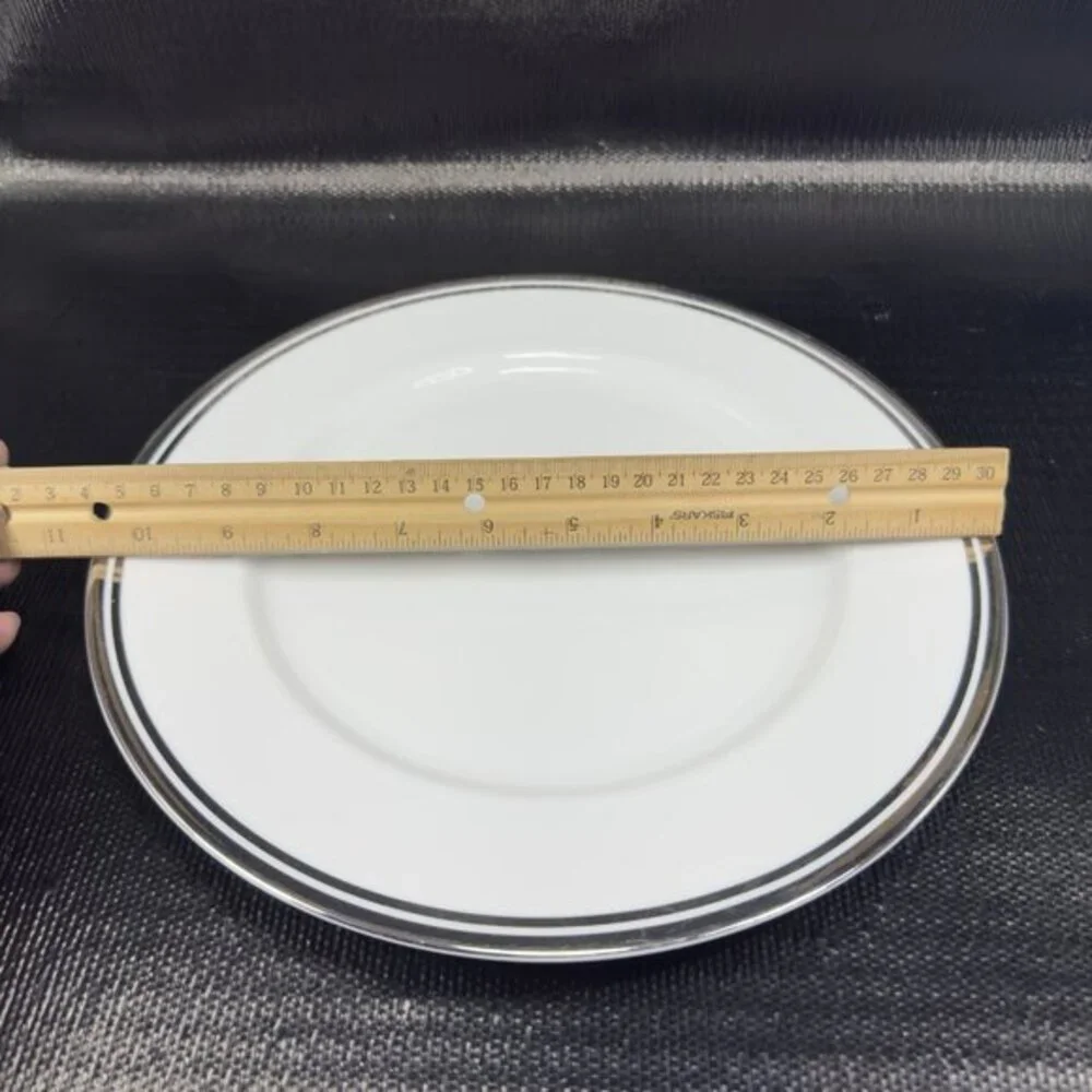 2005‎ Royal Doulton Pure Platinum Double Silver Band Plate Dish 10.5inch Set 3